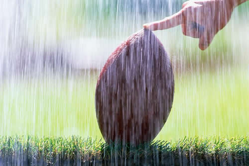 high school sports image